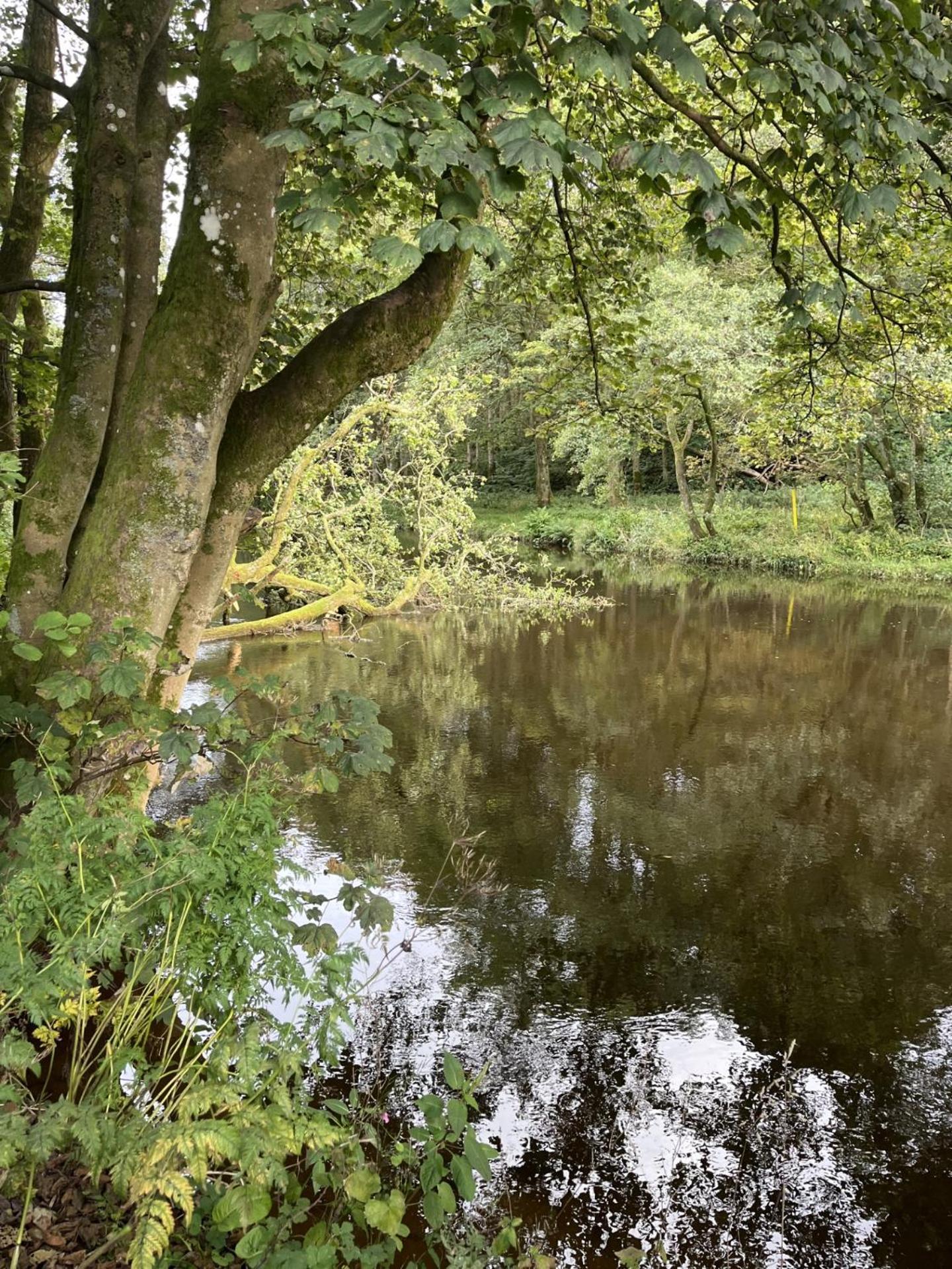 Riverbank Lodge Dollar Luaran gambar